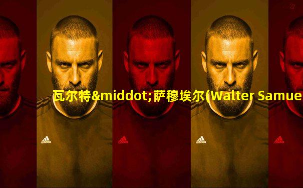 瓦尔特·萨穆埃尔(Walter Samuel)穿过几号